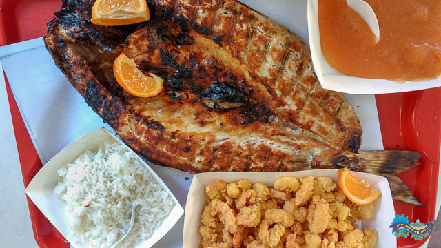 Tainha na Festa do Divino em Guaratuba Tainha em Guaratuba