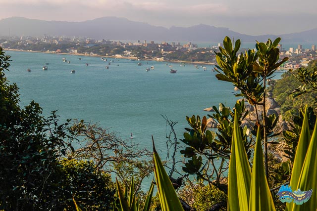 Vista a partir da Praia da Tainha Trilha da Praia da Tainha - O que fazer em Bombinhas