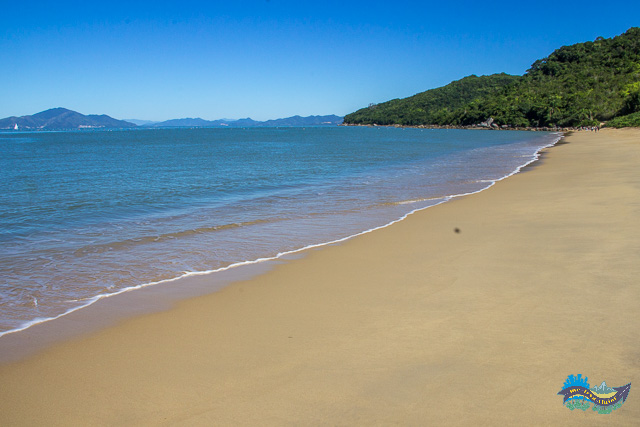 Praia Deserta Praia deserta em Bombinhas - Trilha Costeira de Zimbros