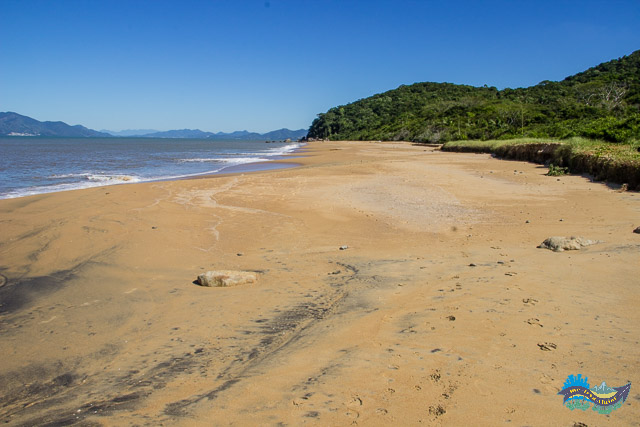 Praia deserta na Trilha Costeira de Zimbros. Praia deserta na Trilha Costeira de Zimbros.