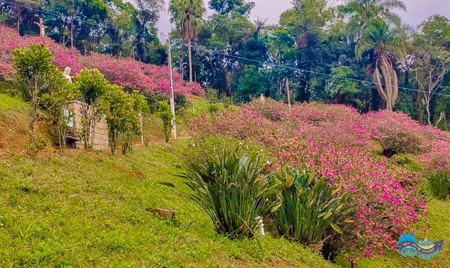 Morro do Rosário Morro do Rosário