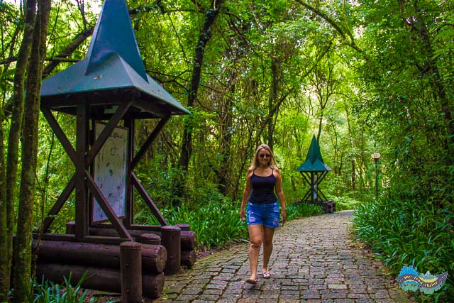 Bosque Alemão - Curitiba