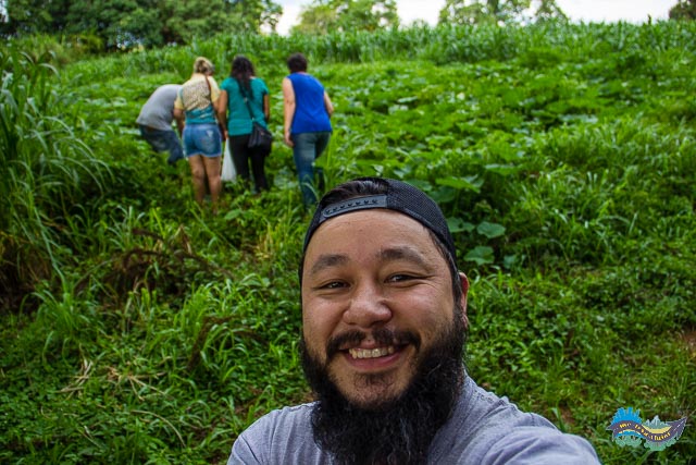 Colheita na Colônia Witmarsum Colheita na Colônia Witmarsum
