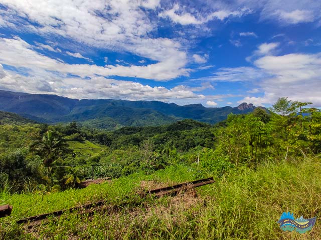 Visual deslumbrante durante a viagem de trem. 