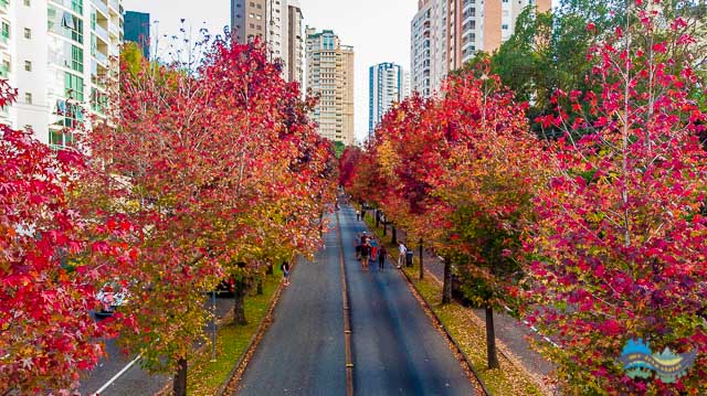 Rua do Outono - Estação Tubo Mossunguê e a Estação Tubo São Grato