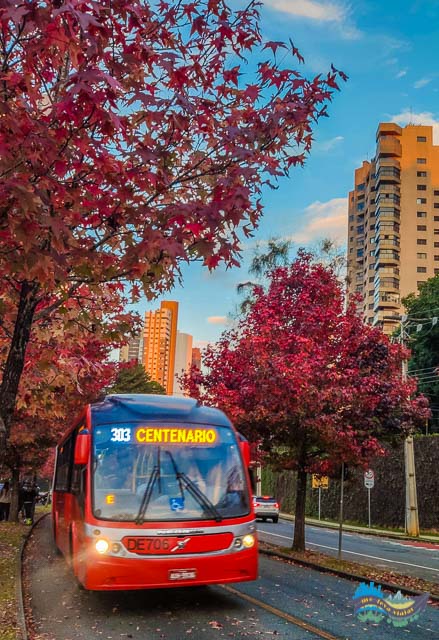 Como chegar a Rua do Outono: 