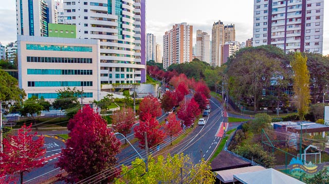 Bairro do Mossunguê