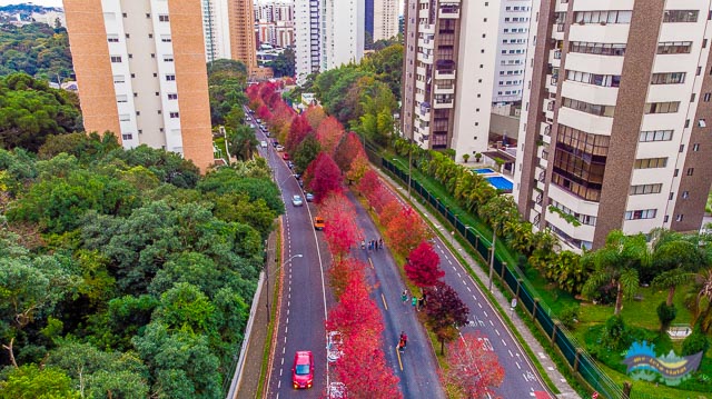 Rua Deputado Heitor Alencar Furtado
