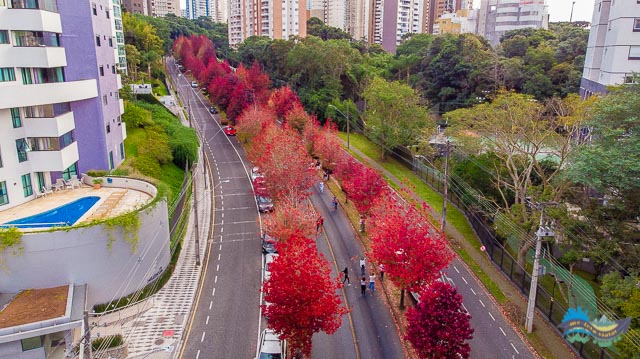 Rua Deputado Heitor Alencar Furtado