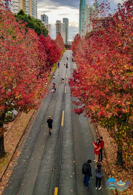 Vista a partir da Passarela. 