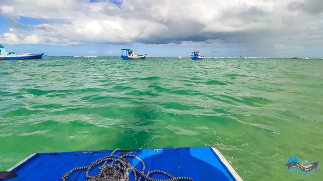 Jangada para as Piscinas
