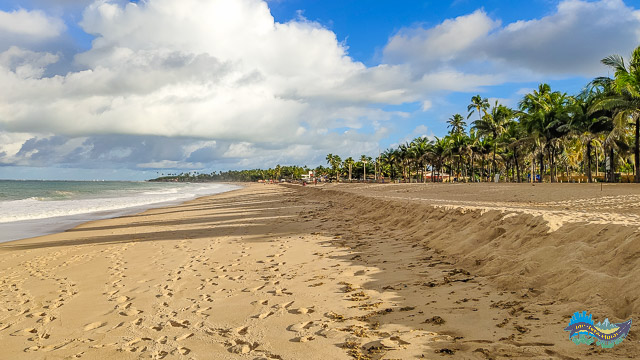 Praia de Maracaípe
