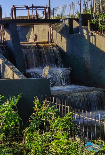 Parque São Lourenço - cachoeira artificial. 
