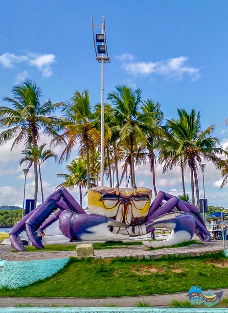 Caranguejo de Paranaguá Caranguejo de Paranaguá