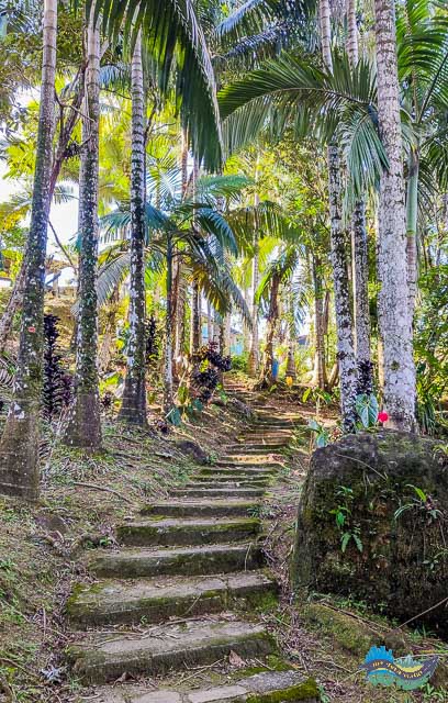 Cachoeira Alto da Quintilha