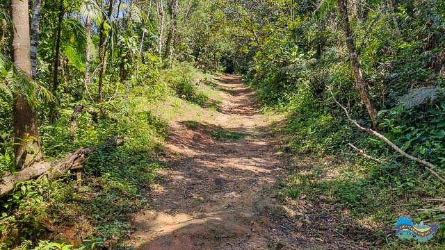 Trilha para acessar a Cachoeira da Quintilha