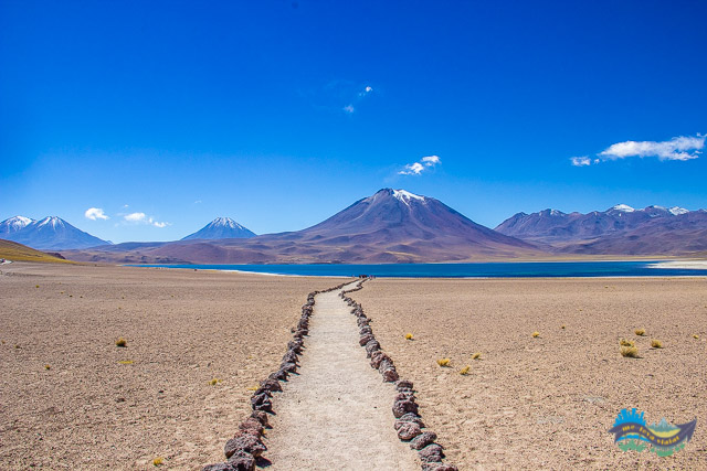 Lagoa Miscanti - Lagunas Altiplânicas