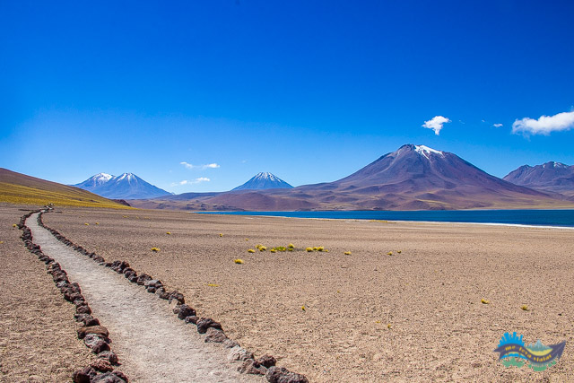 Lagoa Miscanti - Lagunas Altiplânicas - Atacama
