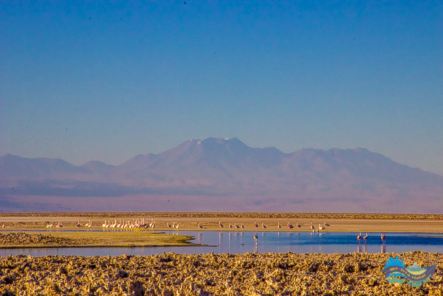 Reserva Nacional dos Flamingos