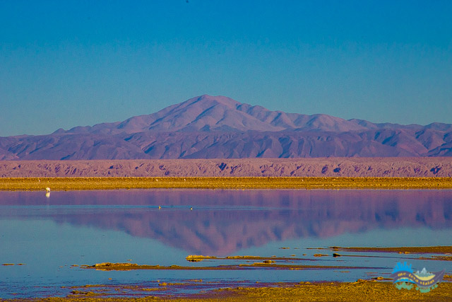 Montanha ao fundo faz um espelho na lagoa - Laguna de Chaxa