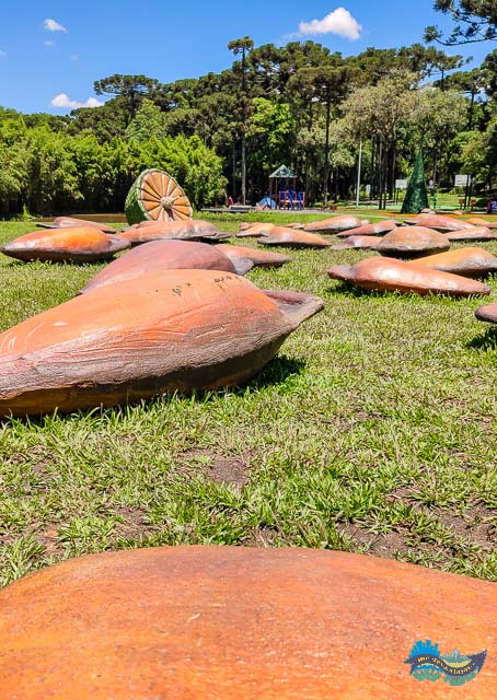 Pinha Gigante e pinhões