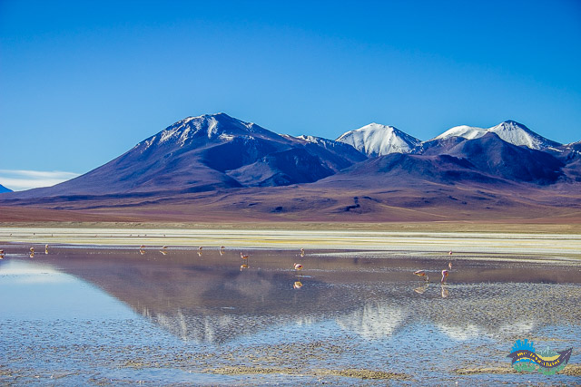 Laguna Hedionda - Bolivia
