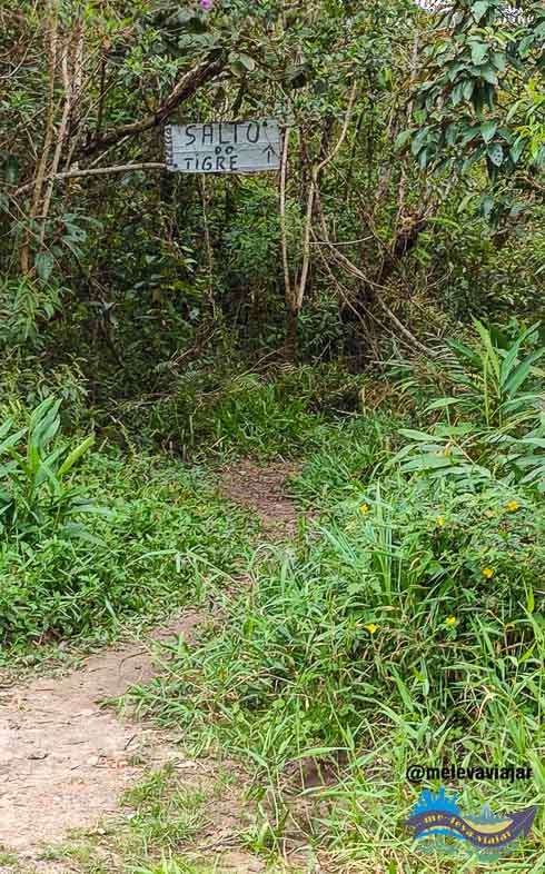 inicio da trilha para a cachoeira