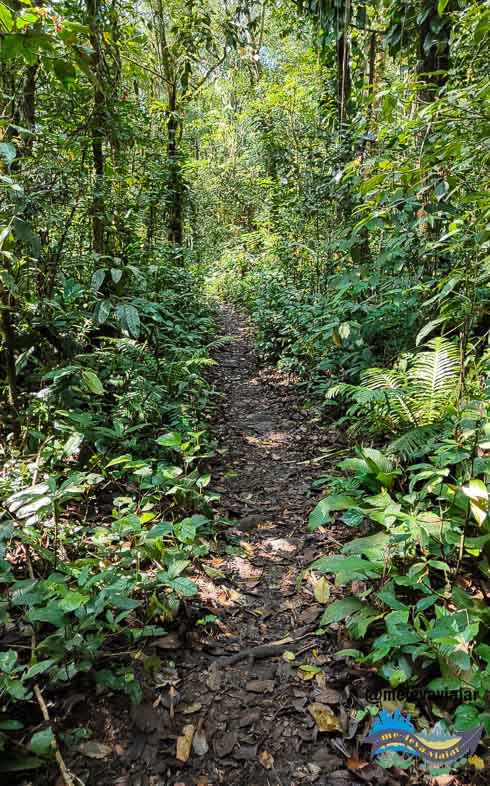 Trilha da Cachoeira Salto do Tigre